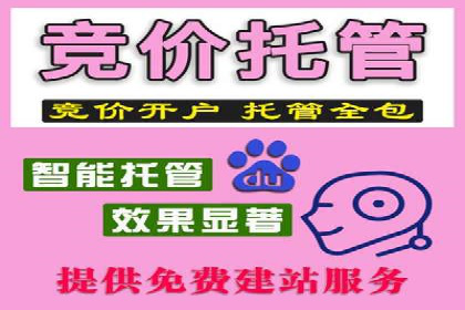 托管竞价sem成功案例：提升品牌曝光度的秘诀